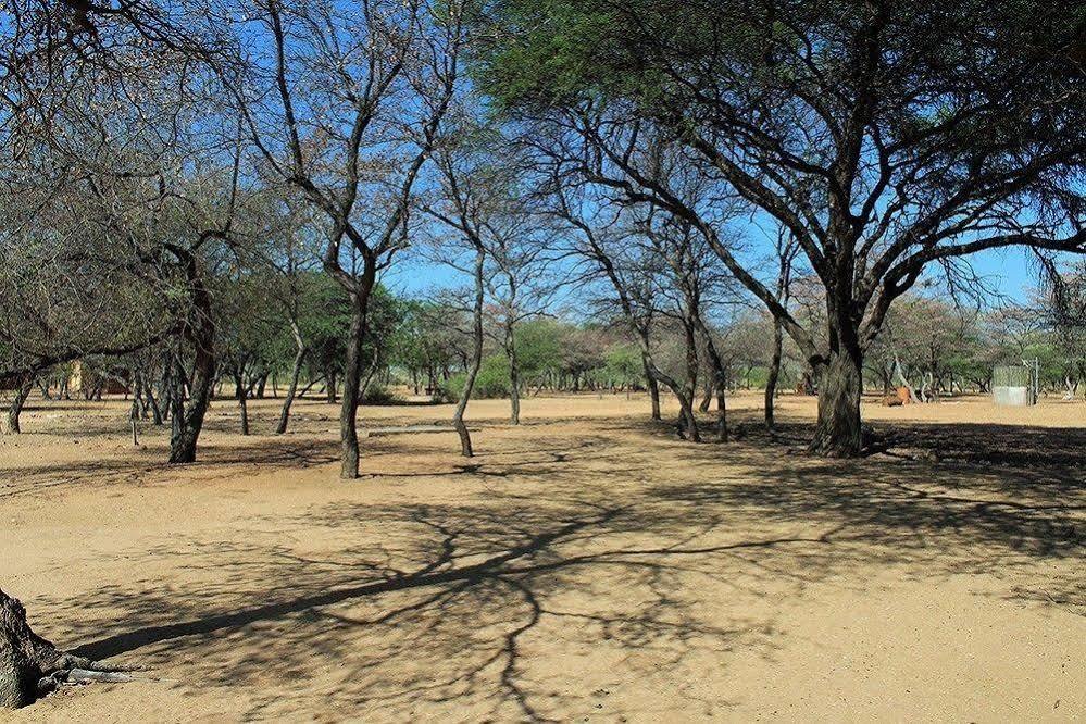 Harnas Wildlife Foundation Gobabis Exterior photo